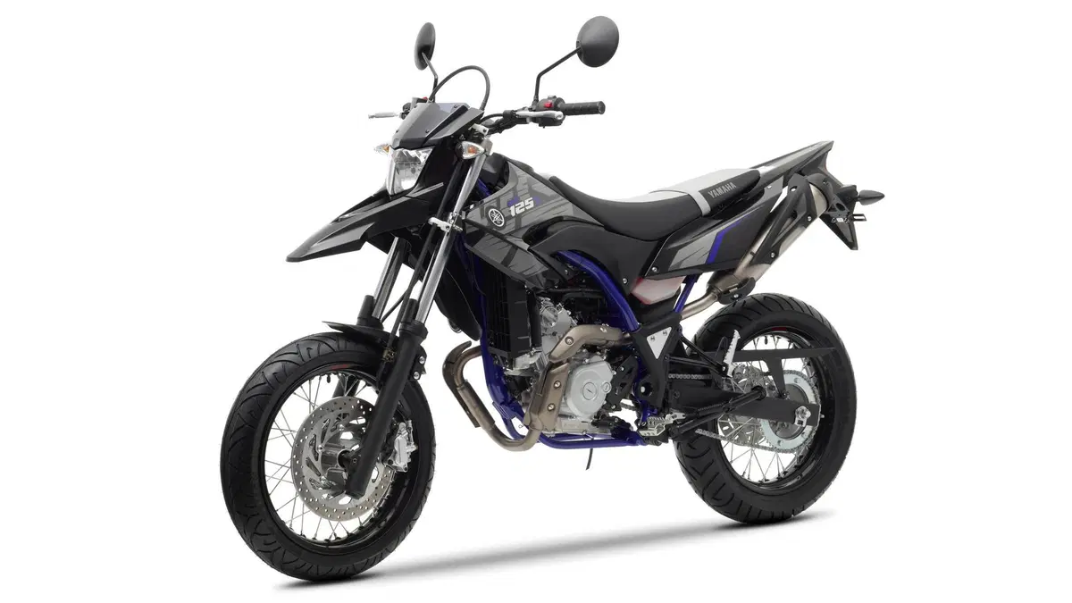 Yamaha WR 125 WR 125 X (2009 - 16) (9)