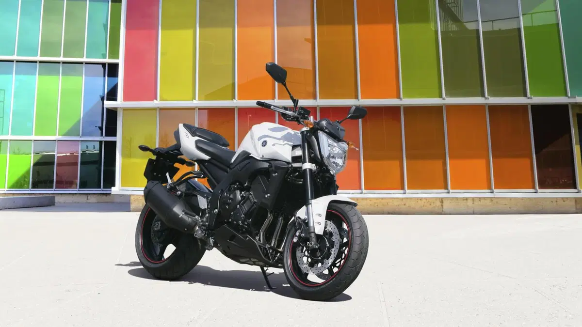 Yamaha FZ1 FZ1 ABS (2006 - 16) (5)
