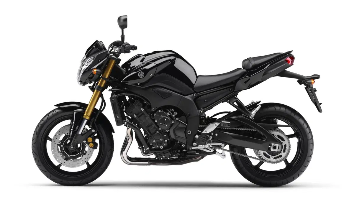 Yamaha FZ8 FZ8 (2013 - 16) (8)