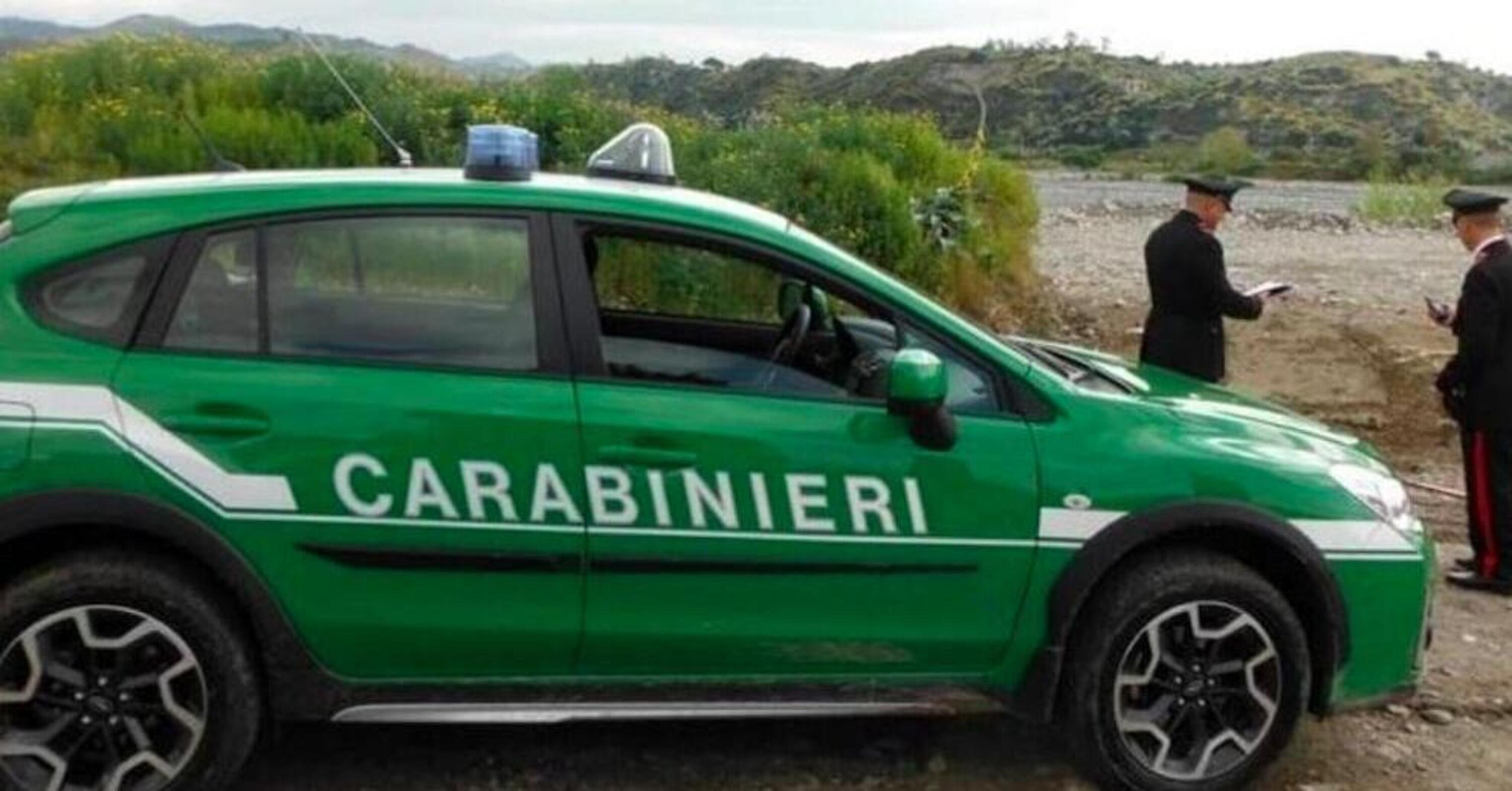 Avellino. Endurista sorpreso dai Carabinieri nel parco regionale