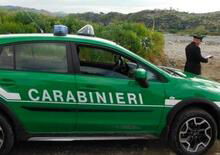 Avellino. Endurista sorpreso dai Carabinieri nel parco regionale