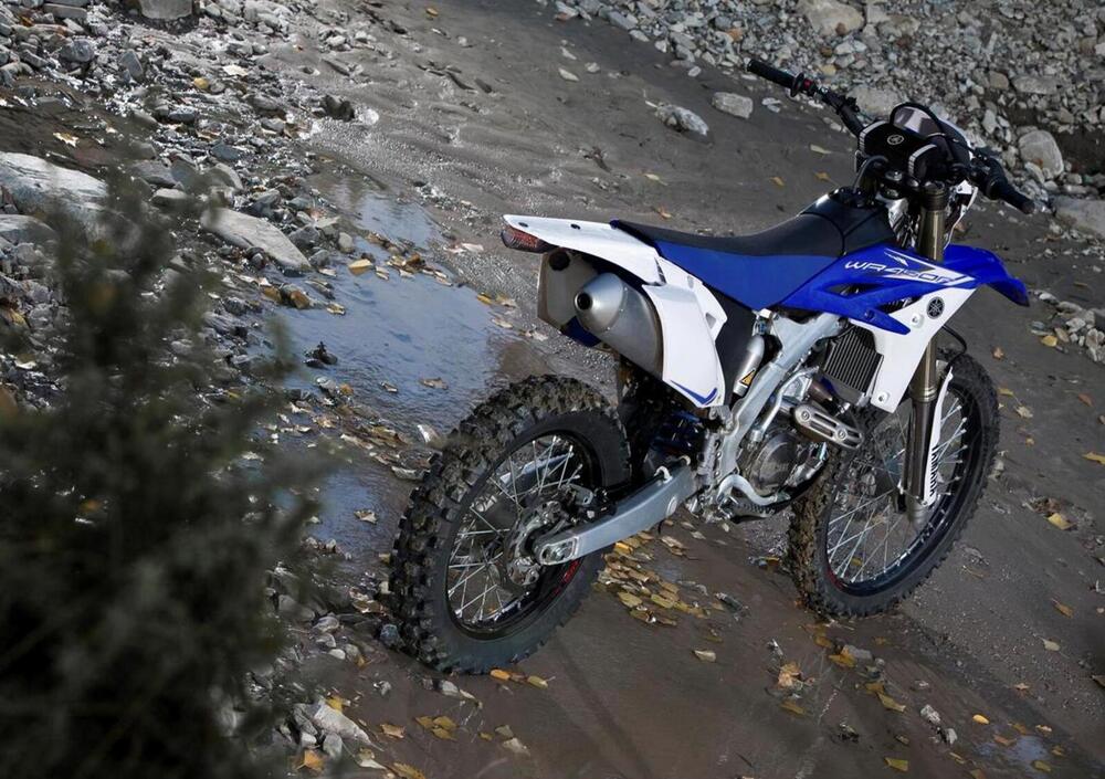 Yamaha WR 450 F (2015) (4)