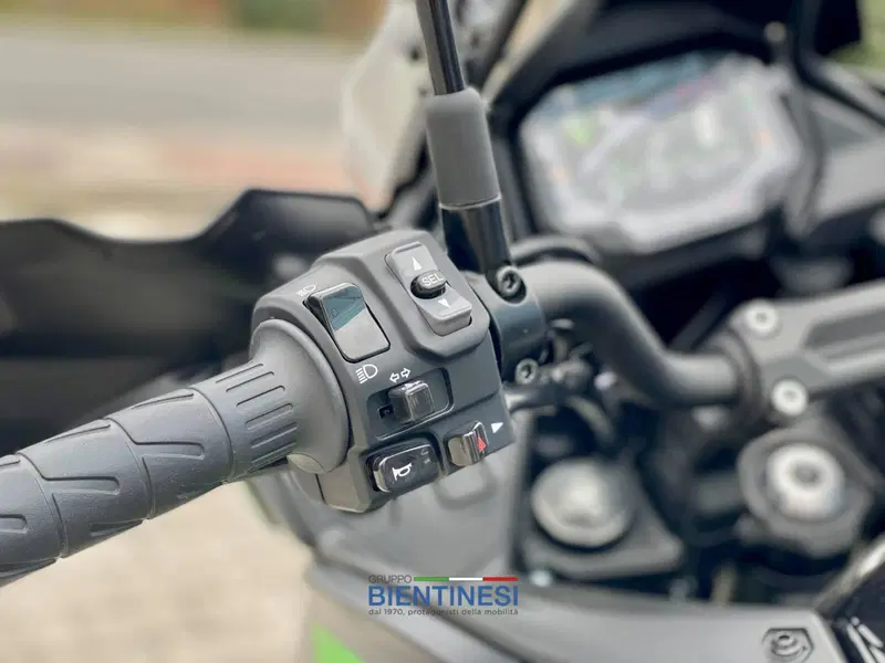 Kawasaki Versys 650 (2021 - 24) (5)