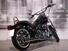 Harley-Davidson 1450 Springer (2002 - 04) - FXSTSI (8)