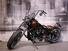 Harley-Davidson 1340 Springer (1990 - 98) - FXSTS (7)