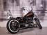 Harley-Davidson 1340 Springer (1990 - 98) - FXSTS (8)