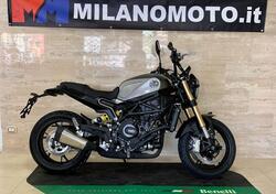 Benelli Leoncino 800 (2022 - 24) nuova