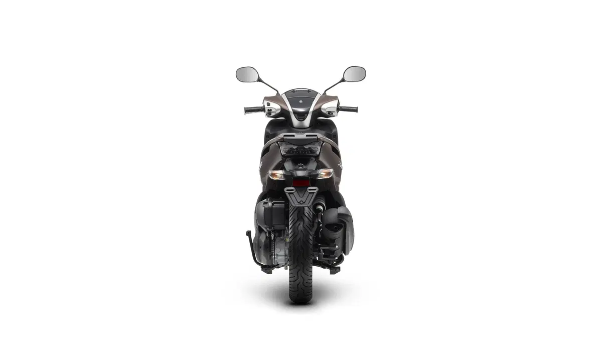 Yamaha Xenter 125 Xenter 125 (2015 - 17) (5)