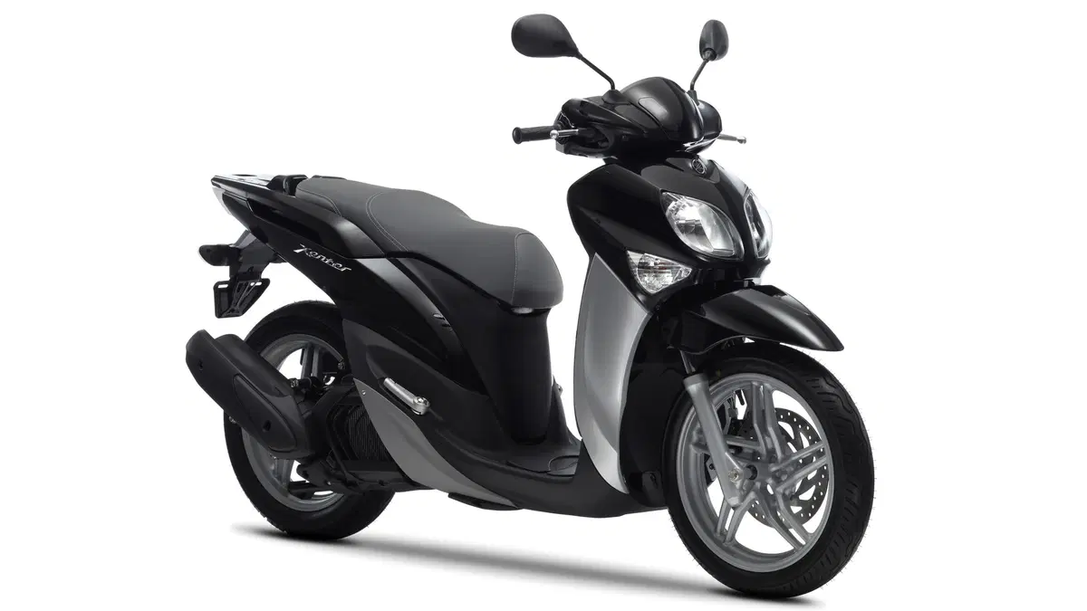 Yamaha Xenter 125 Xenter 125 (2015 - 17) (10)