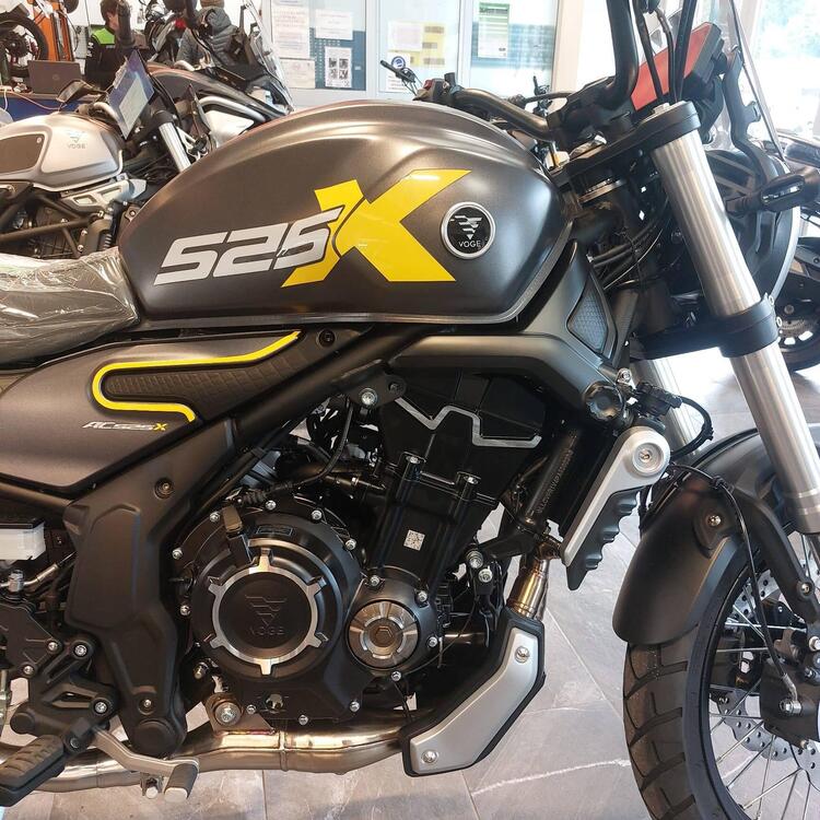 Voge Trofeo 525ACX Scrambler (2023 - 24) (3)