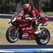 SBK 2023. Alvaro Bautista domina le prove libere a Phillip Island [GALLERY e RISULTATI]