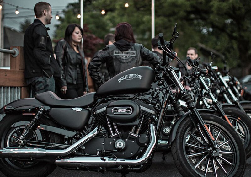 Harley-Davidson Sportster 883 Iron (2012 - 14) - XL 883N (10)