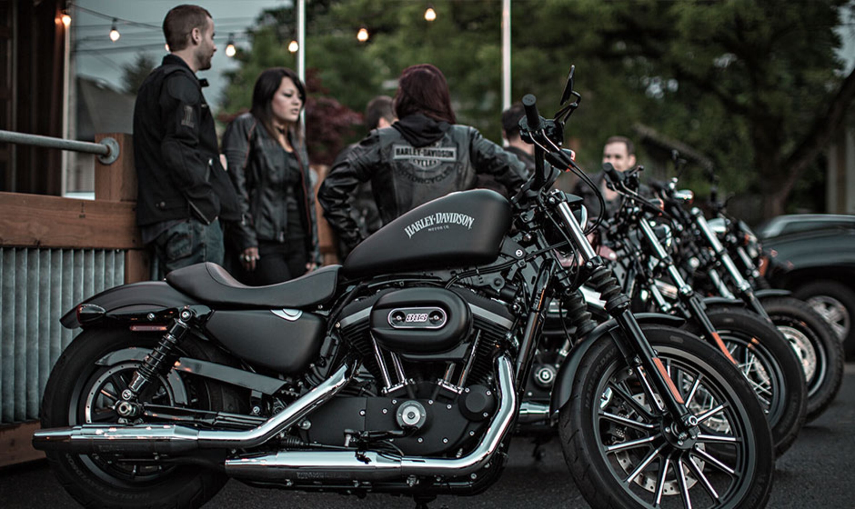 Harley-Davidson Sportster 883 Iron (2014 - 16) - XL 883N