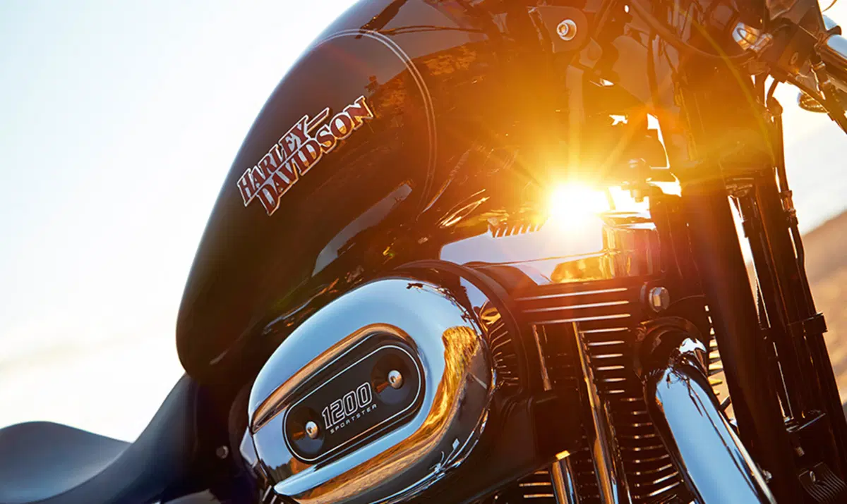 Harley-Davidson Sportster 1200 SuperLow (2014 - 16) - XL 1200T (4)