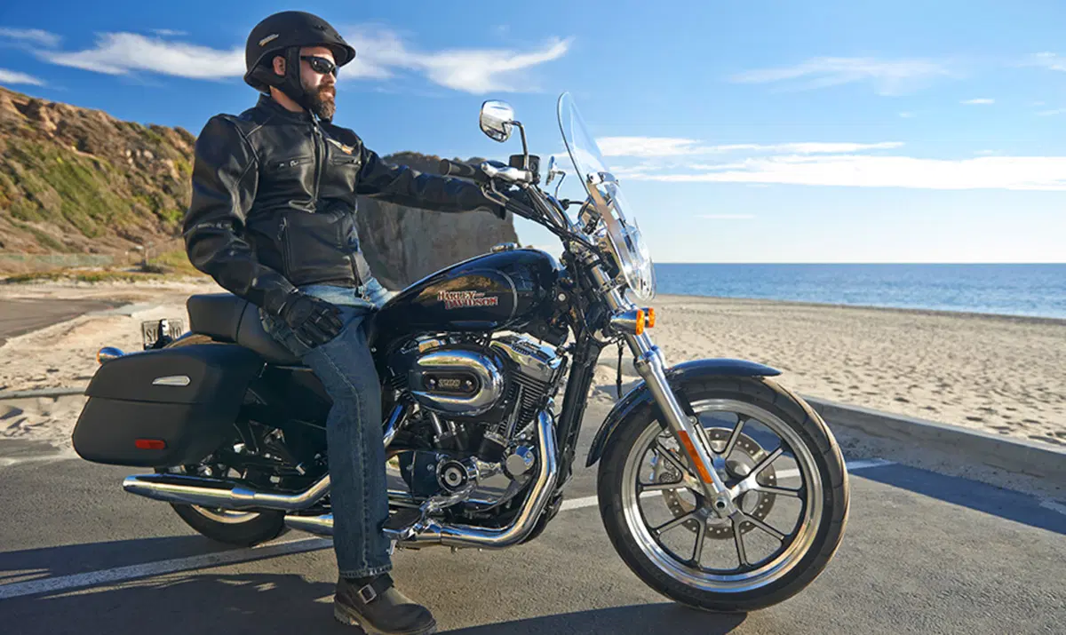 Harley-Davidson Sportster 1200 SuperLow (2014 - 16) - XL 1200T (3)