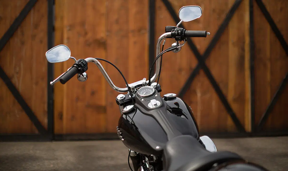 Harley-Davidson Dyna 1690 Street Bob Special (2015 - 16) - FXDB (3)