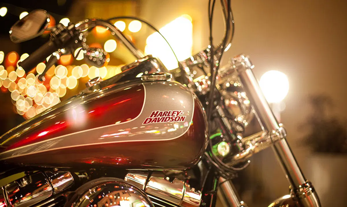 Harley-Davidson Dyna 1690 Street Bob Special (2015 - 16) - FXDB (9)