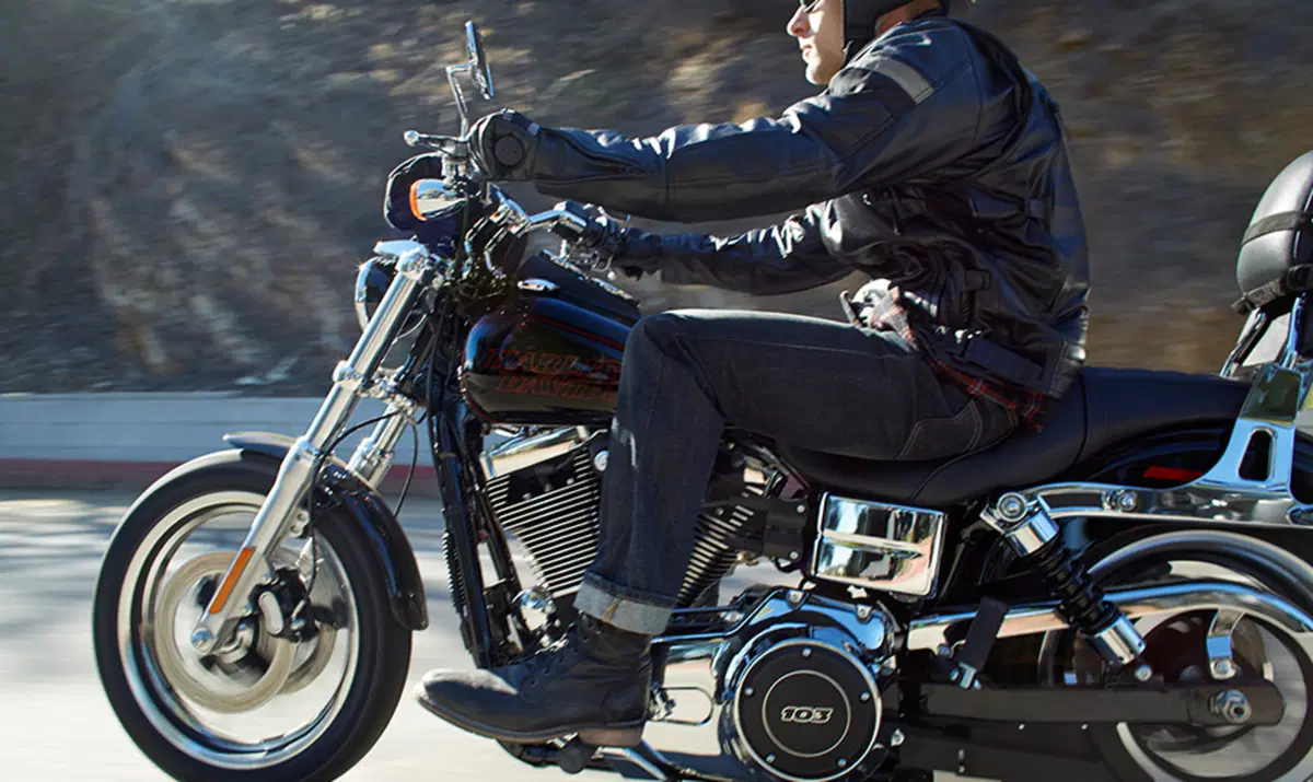 Harley-Davidson Dyna 1690 Low Rider (2014 - 17) - FXDL (6)