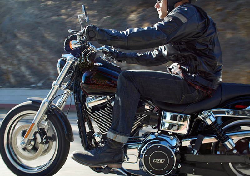 Harley-Davidson Dyna 1690 Low Rider (2014 - 17) - FXDL (6)