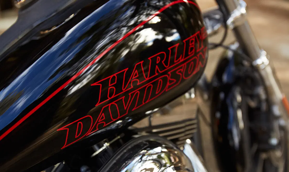 Harley-Davidson Dyna 1690 Low Rider (2014 - 17) - FXDL (7)