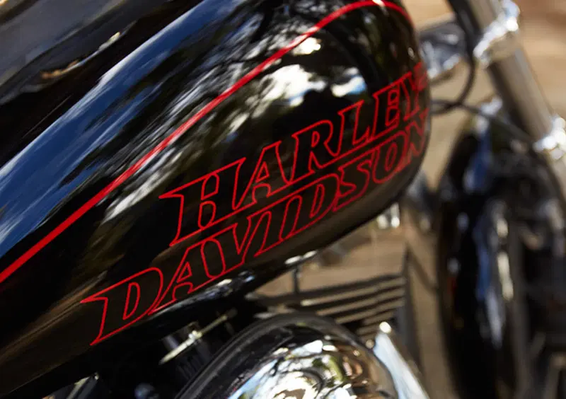 Harley-Davidson Dyna 1690 Low Rider (2014 - 17) - FXDL (7)