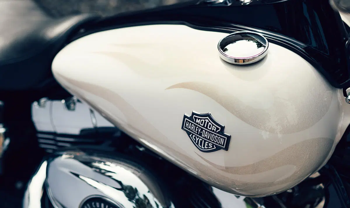 Harley-Davidson Dyna 1690 Wide Glide (2010 - 17) - FXDWG (14)