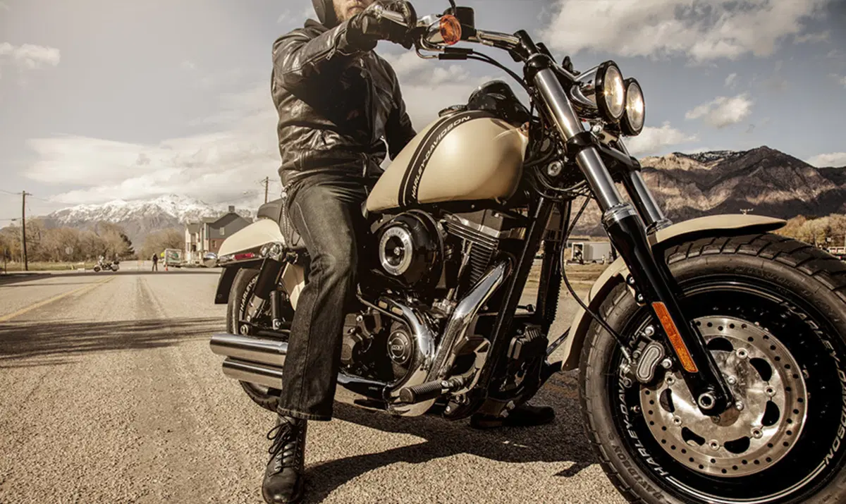 Harley-Davidson Dyna 1690 Fat Bob (2014 - 16) - FXDF (3)