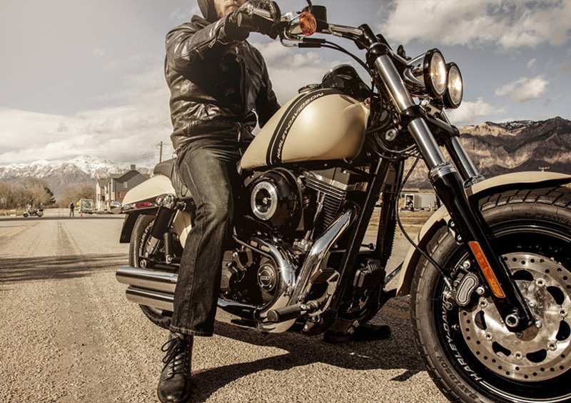 Harley-Davidson Dyna 1690 Fat Bob (2014 - 16) - FXDF (3)