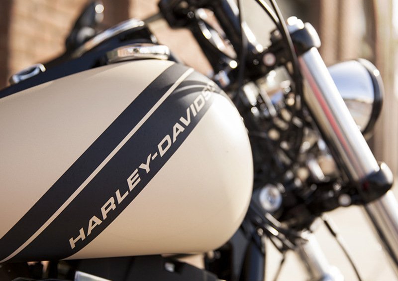 Harley-Davidson Dyna 1690 Fat Bob (2014 - 16) - FXDF (4)