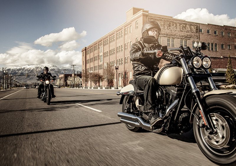 Harley-Davidson Dyna 1690 Fat Bob (2014 - 16) - FXDF (6)