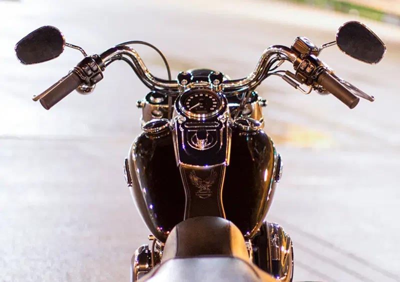 Harley-Davidson Dyna 1690 Switchback (2011 - 16) (8)