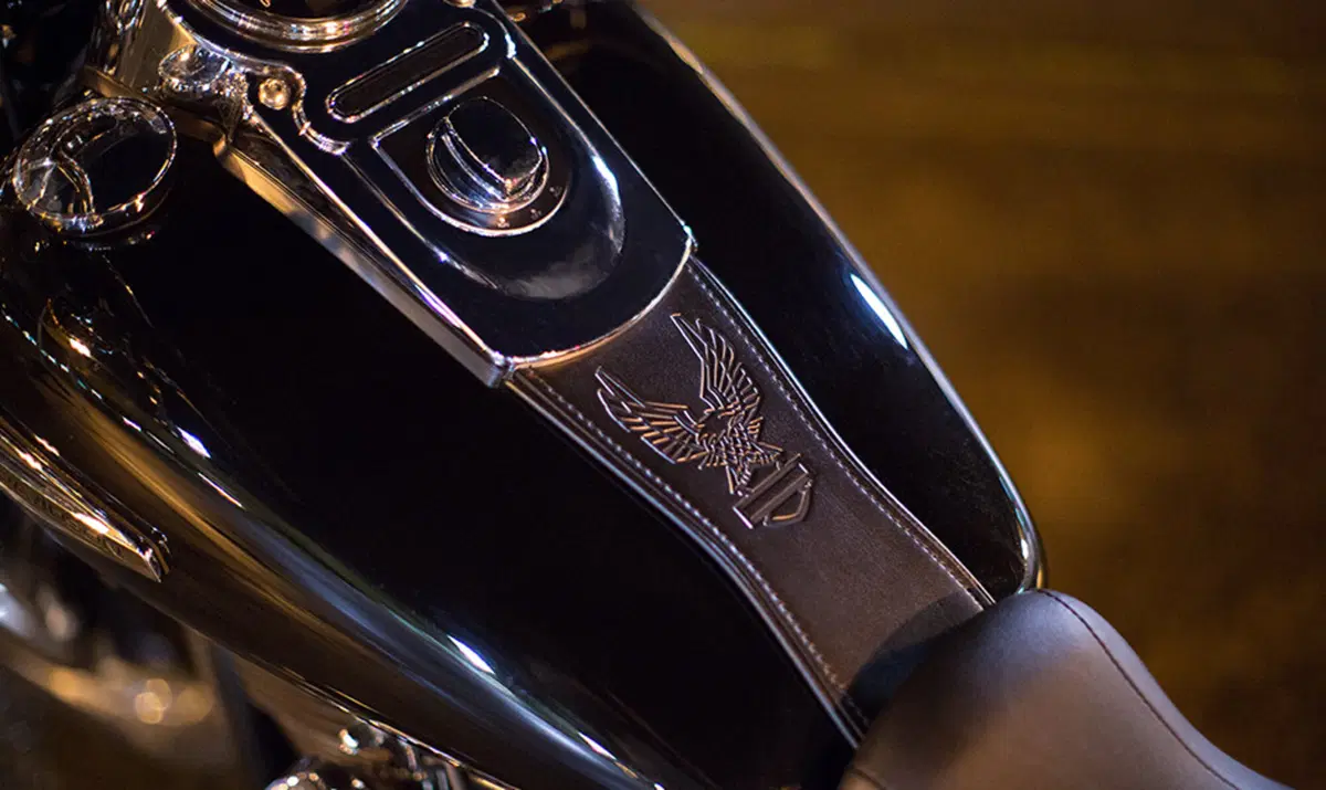 Harley-Davidson Dyna 1690 Switchback (2011 - 16) (9)