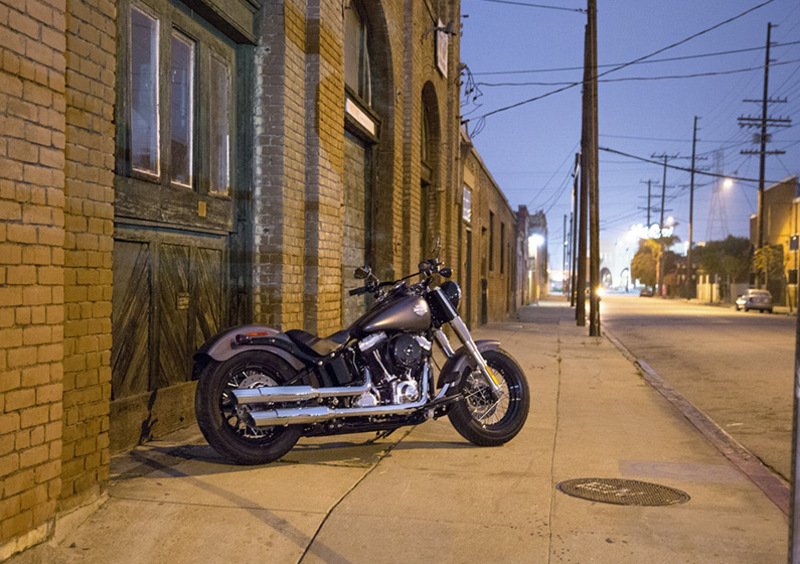 Harley-Davidson Softail 1690 Slim (2011 - 16) - FLS (3)