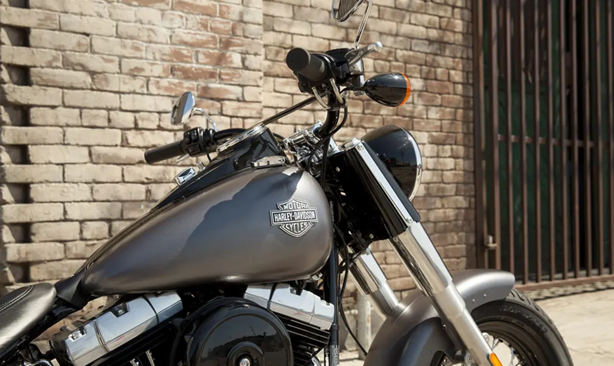 Harley-Davidson Softail 1690 Slim (2011 - 16) - FLS (5)