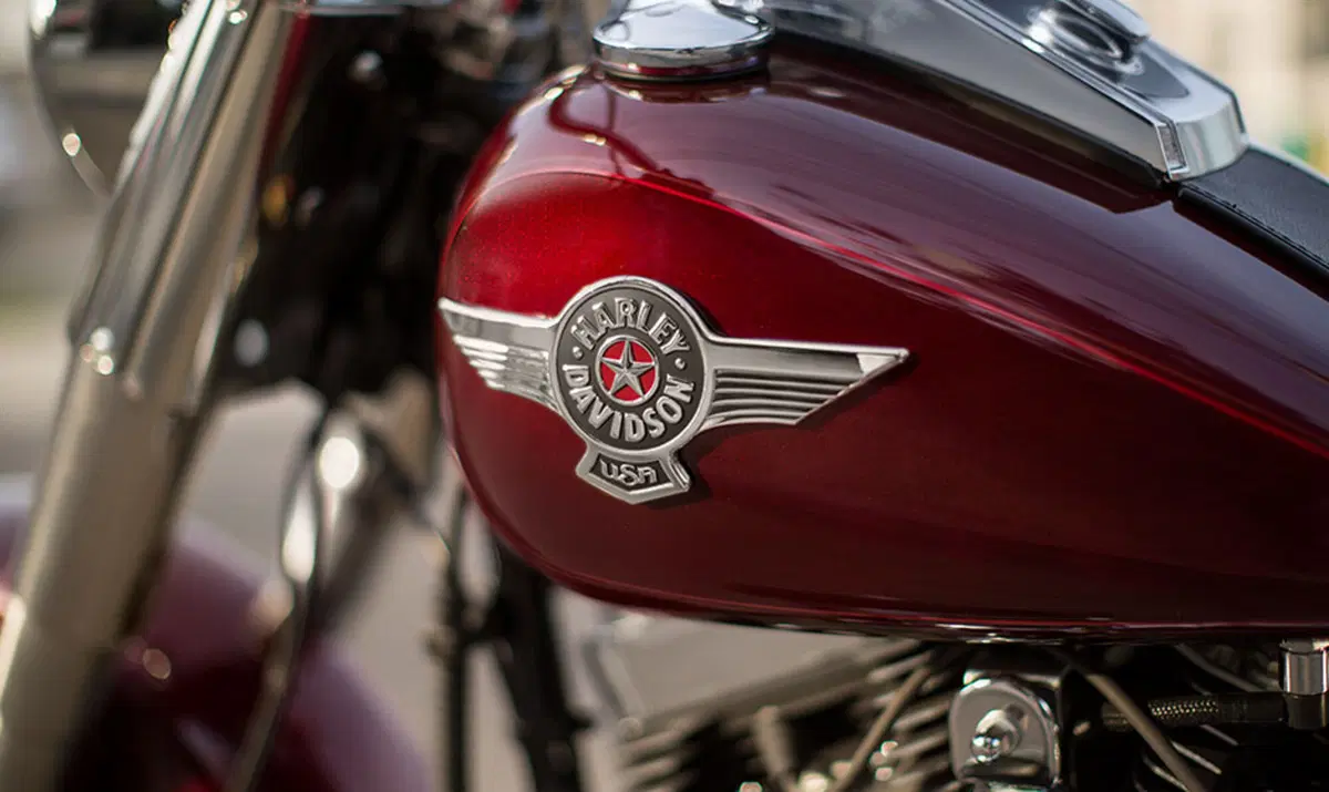 Harley-Davidson Softail 1584 Fat Boy (2008 - 10) - FLSTF (2)