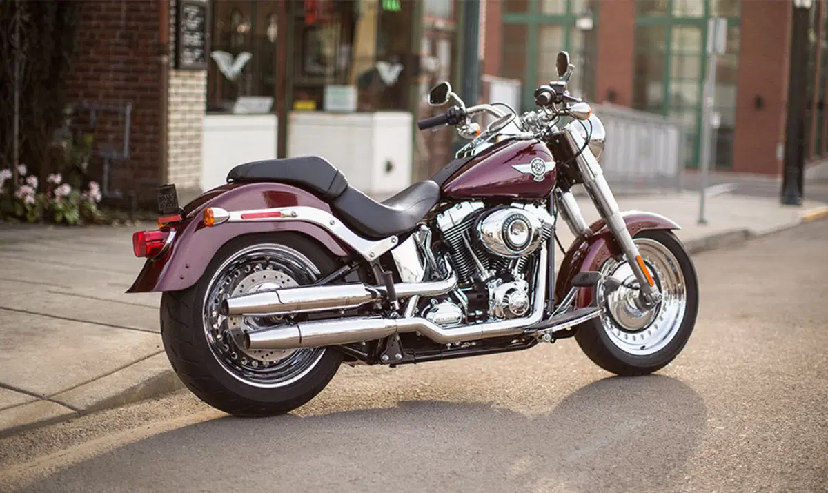 Harley-Davidson Softail 1584 Fat Boy (2008 - 10) - FLSTF (3)