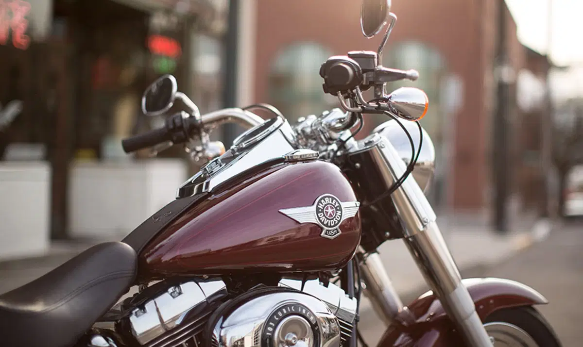 Harley-Davidson Softail 1584 Fat Boy (2008 - 10) - FLSTF (4)