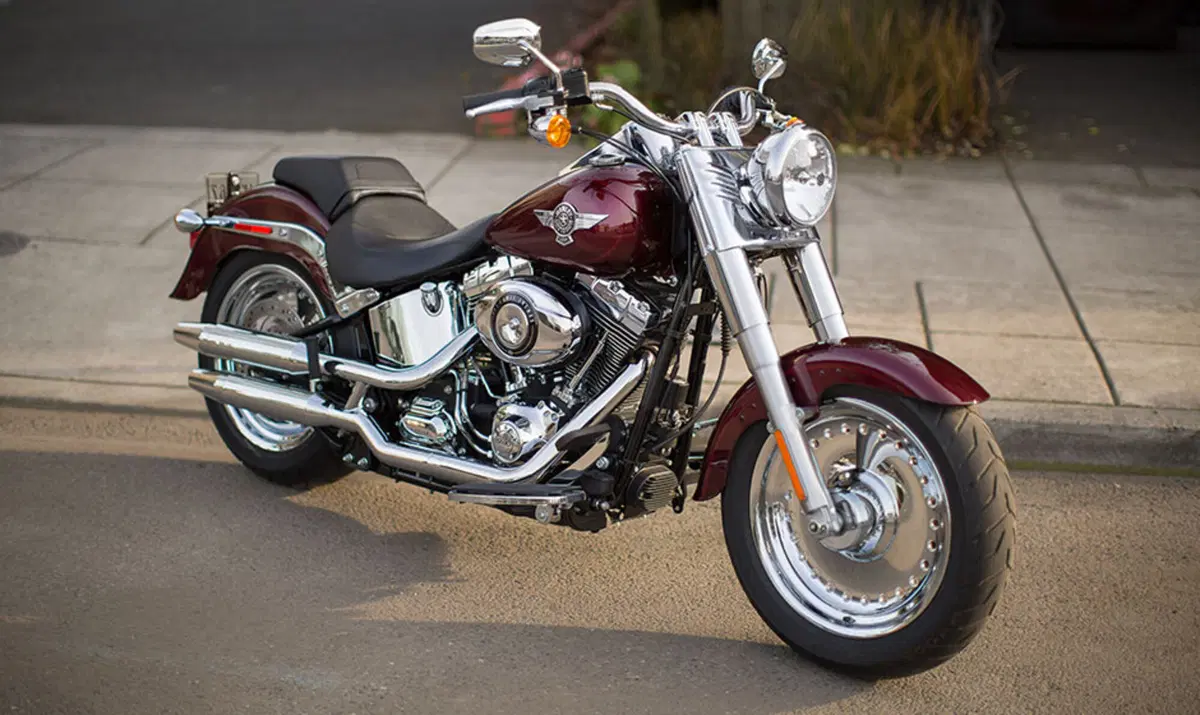 Harley-Davidson Softail 1584 Fat Boy (2008 - 10) - FLSTF (5)