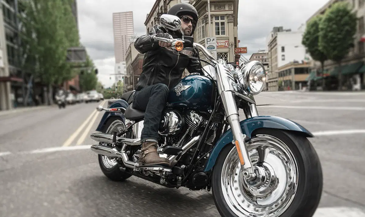 Harley-Davidson Softail 1584 Fat Boy (2008 - 10) - FLSTF (8)