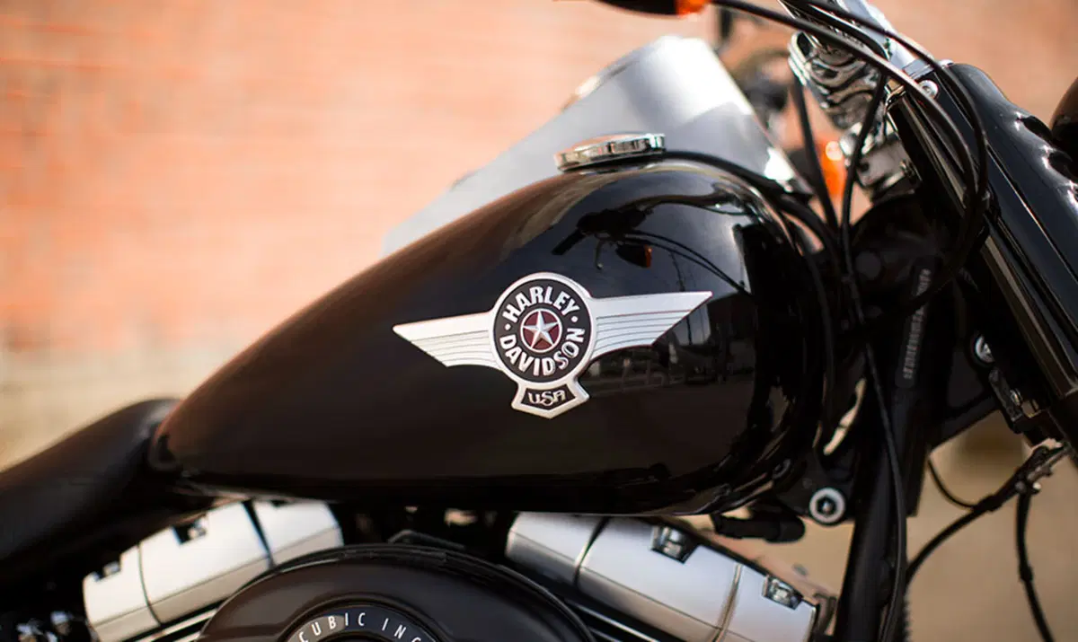 Harley-Davidson Softail 1690 Fat Boy Special (2010 - 17) - FLSTF (5)