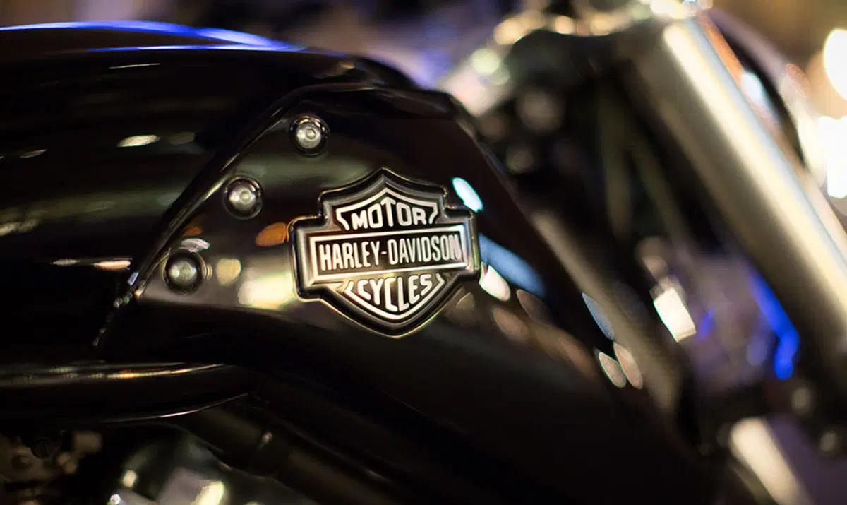 Harley-Davidson V-Rod 1250 V-Rod Muscle (2009 - 17) - VRSCF (4)