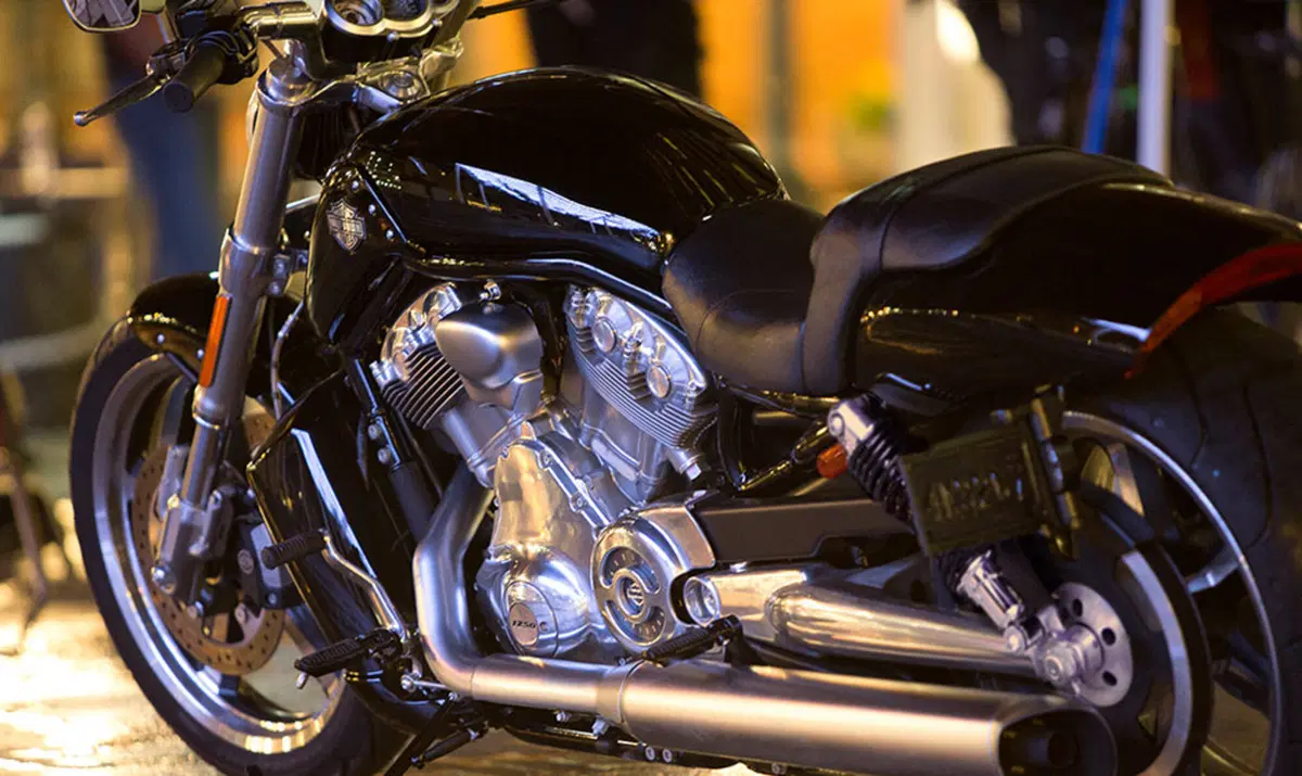 Harley-Davidson V-Rod 1250 V-Rod Muscle (2009 - 17) - VRSCF (3)