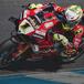 SBK 2023. GP d'Australia. Le pagelle: dominio di Alvaro Bautista ma soprattutto di Ducati, 5 su 5! [GALLERY]