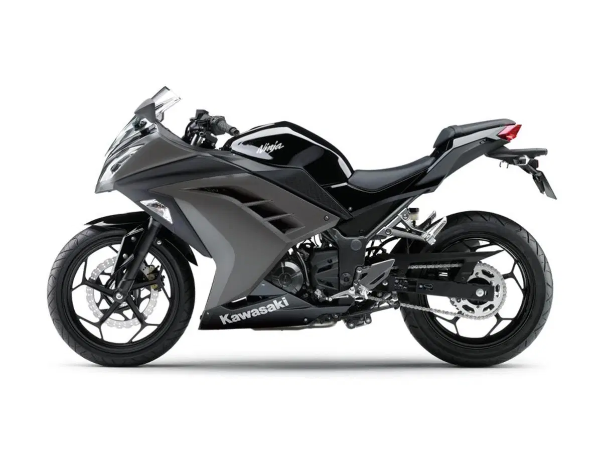 Kawasaki Ninja 300 Ninja 300 (2012 - 14) (2)