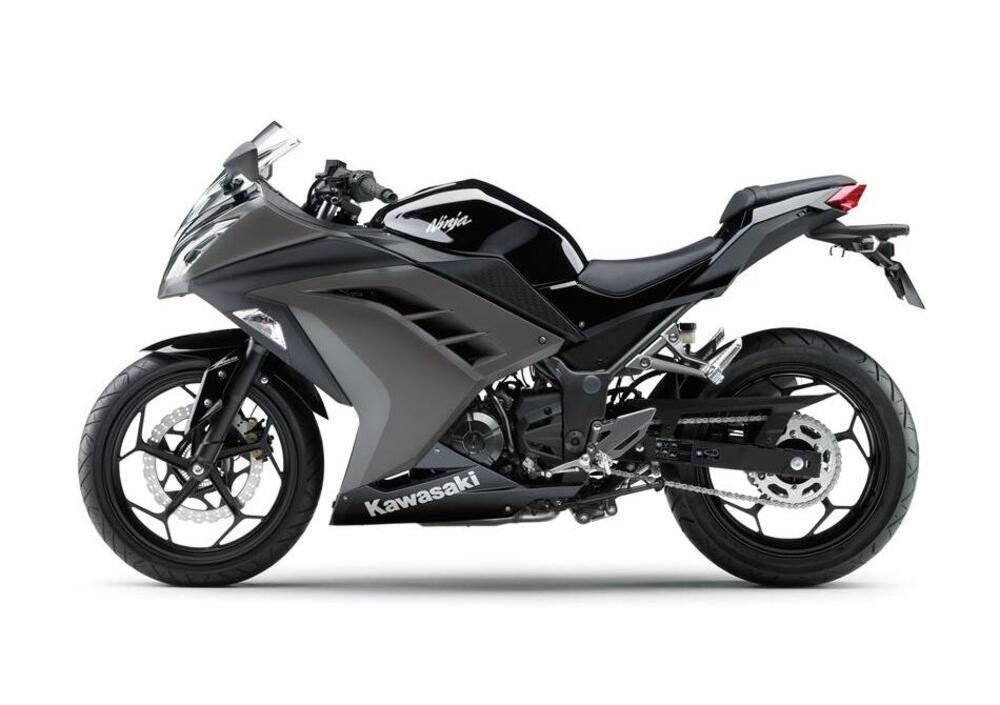 Kawasaki Ninja 300 (2012 - 14) (2)