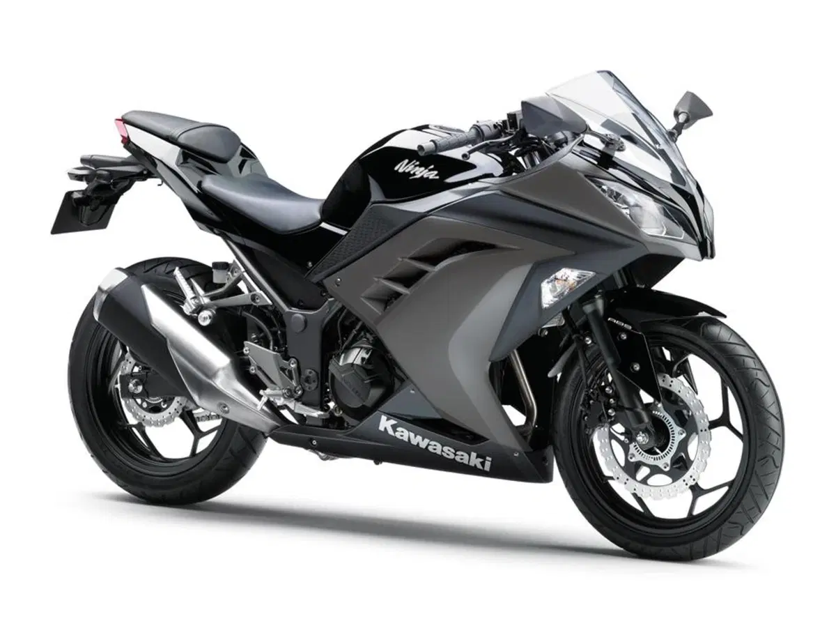 Kawasaki Ninja 300 (2012 - 14)