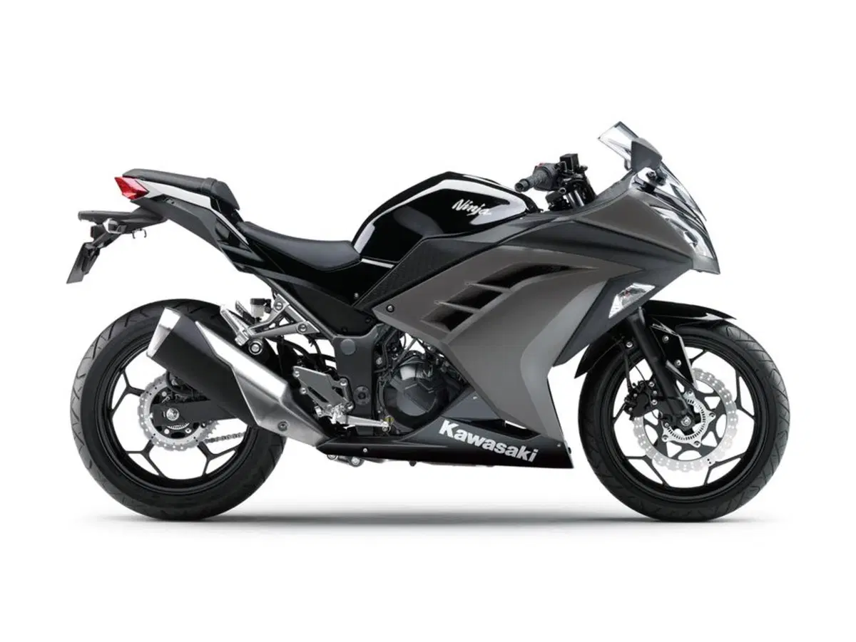 Kawasaki Ninja 300 Ninja 300 (2012 - 14) (4)