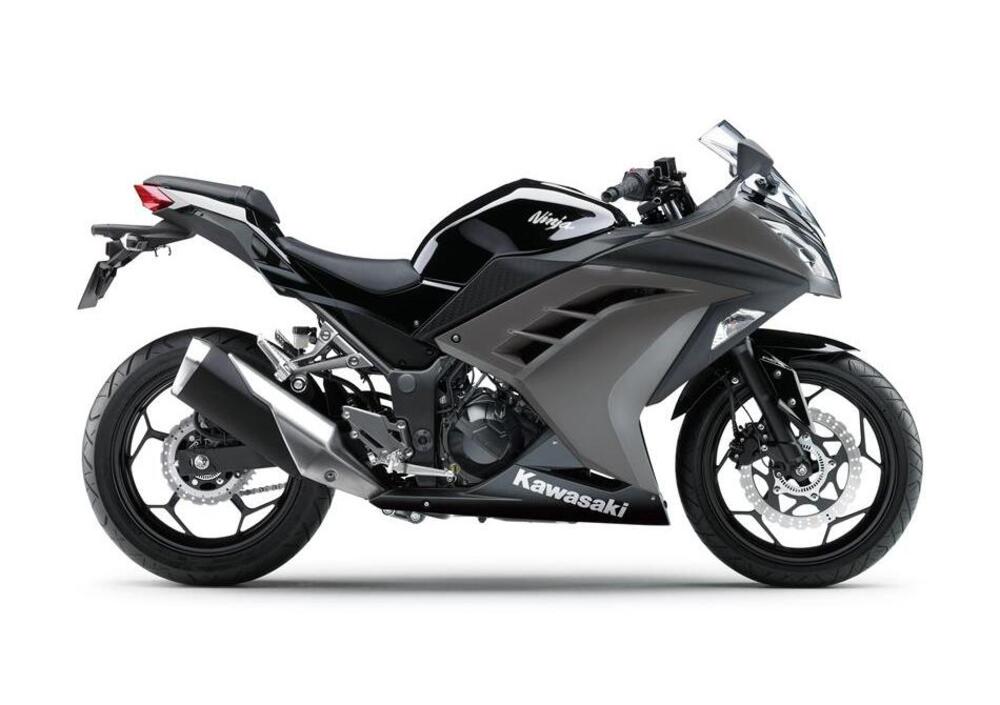 Kawasaki Ninja 300 (2012 - 14) (4)