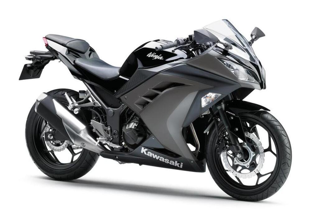 Kawasaki Ninja 300 ABS (2012 - 16) (4)