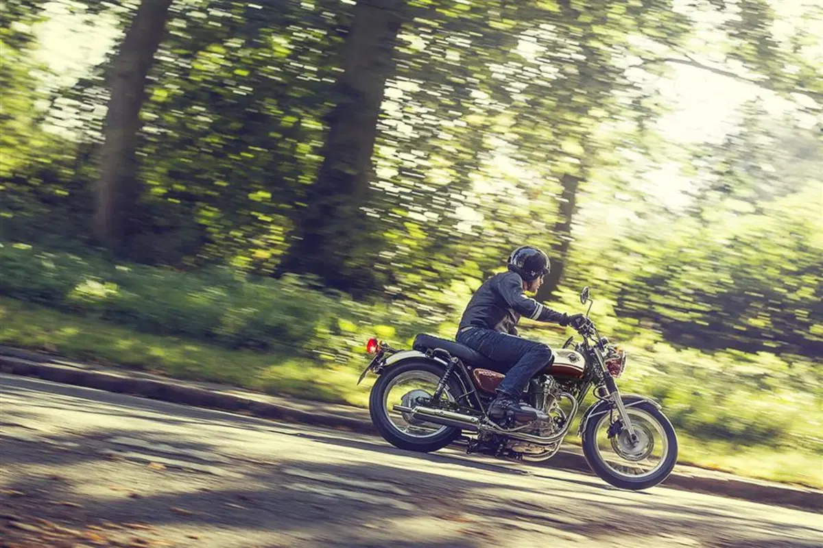 Kawasaki W 800 W 800 (2010 - 17) (4)